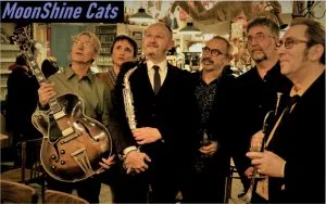 MOONSHINE CATS